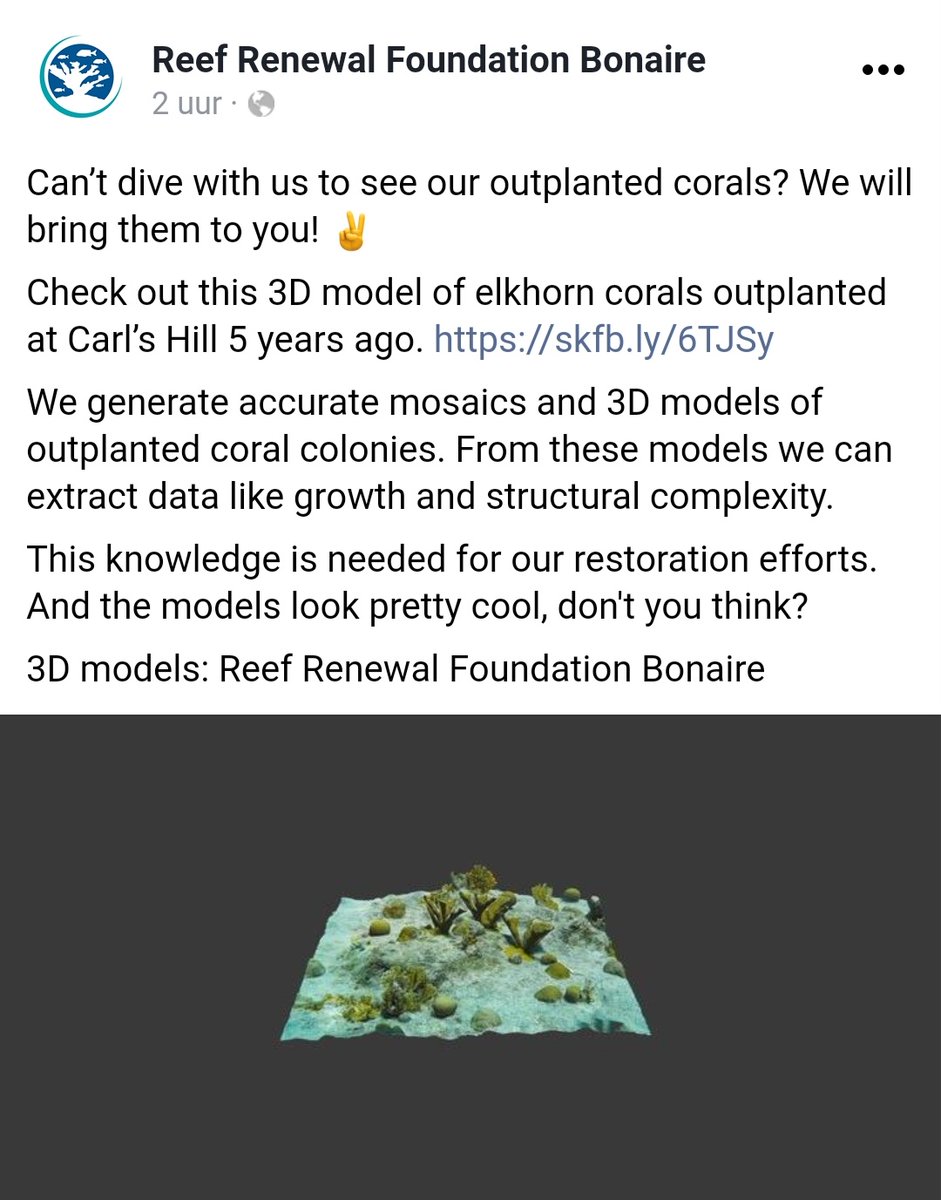FunDiveBonaire's tweet photo. Checkout this 3D-model of outplanted elkhorn coral colonies at Carl's Hill, Bonaire:

#scuba #diving #coral #reef #renewal #RRFB #Bonaire #BlueDestination #DiversParadise #3D #Modeling #SketchFab @PADI 

https://t.co/uEu25Bb5tl https://t.co/FjorBuTMfL