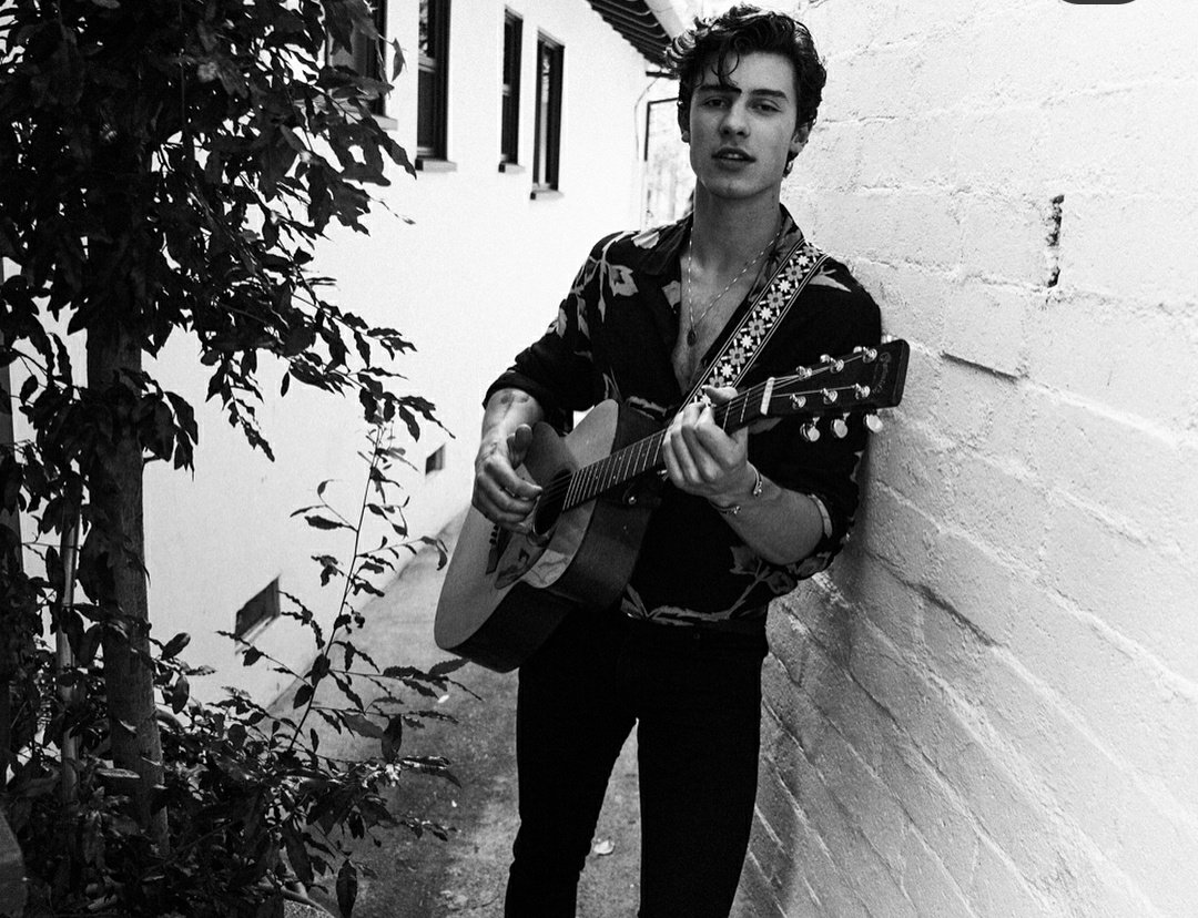 Shawn Mendes wearing shirts : a very necessary thread