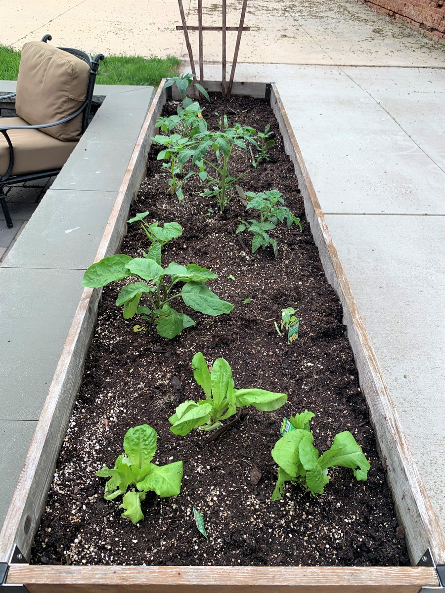 JacobsonGroup's tweet photo. We've been cooking up some delicious and healthy meals, getting #homeworkouts in, and even growing our own greens during this time at home. What's your favorite healthy meal? #InsuranceKeepingUsConnected #insuranceconnections #insurancejobs #healthyeating https://t.co/U6sAOsy77F