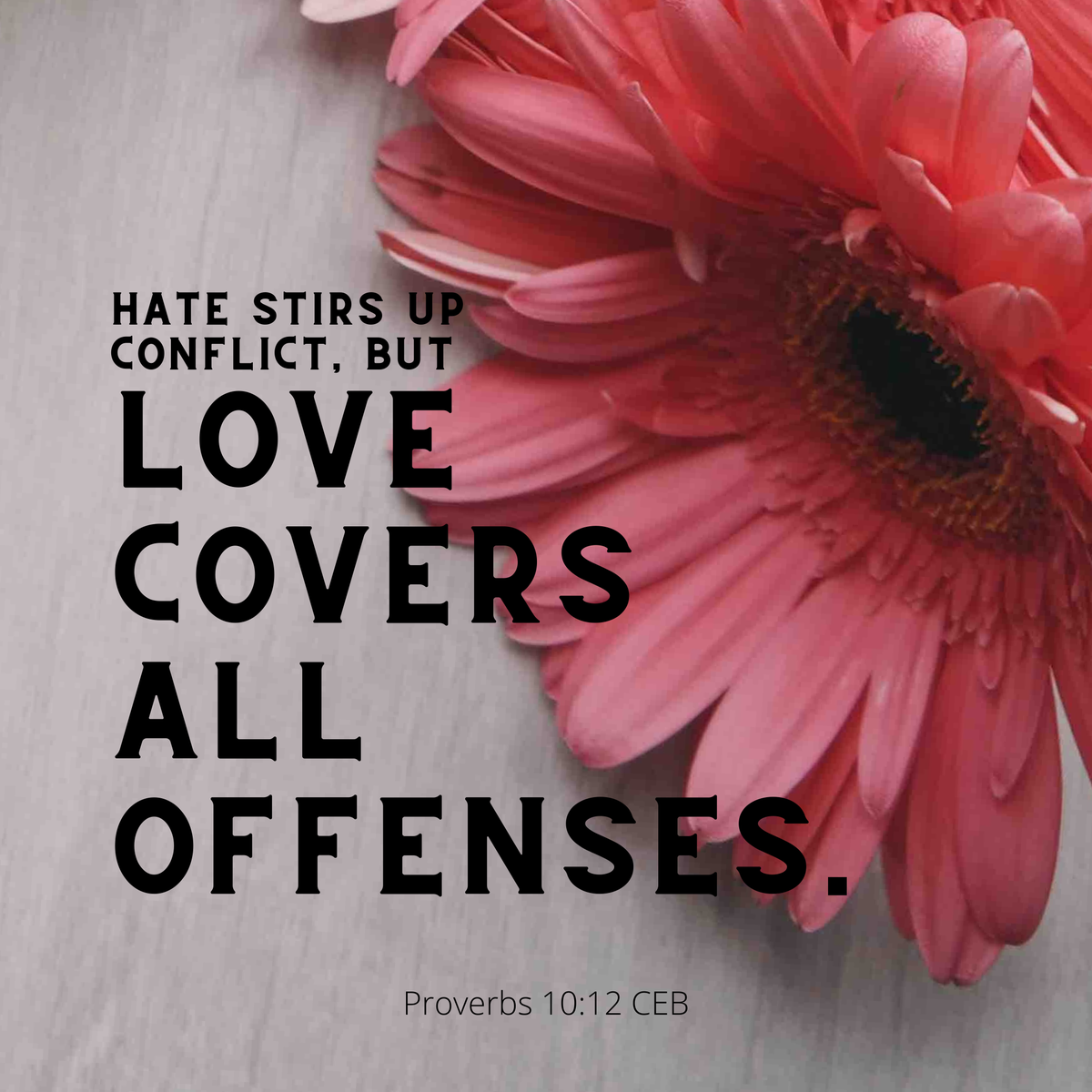 CommonEngBible's tweet image. Hate stirs up conflict, but love covers all offenses.
Proverbs 10:12 CEB

#VerseOfTheDay #CommonEnglishBible