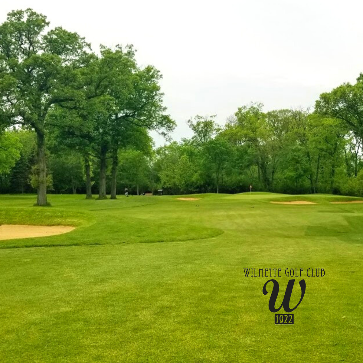 GOLFWILMETTE's tweet photo. On a scale from 1-10 (10 being the hardest) how tough is this hole for you? 
.
.
.
.
#GolfIsHard #GolfCourse #WilmetteGolfClub #Golf https://t.co/uC1AynyoIP