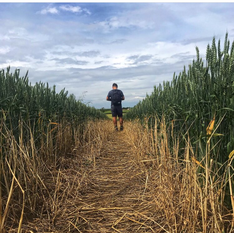 Ever walked 3 miles for icecream to find their card machine was broke &amp; you had no cash on you? Nope? Just us then 😬🙄 (a 3 mile walk back again it is then!) #thedairybarn #icecream #walk #ferneleys