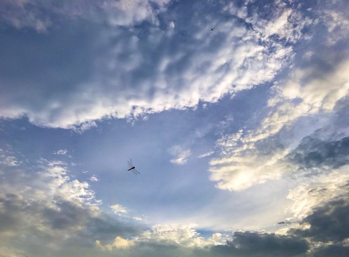 これを見た人は青空の画像を貼れのtwitterイラスト検索結果 これを見た人は青空の画像を貼れのtwitterイラスト検索結果