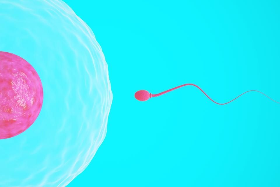 Can You Get Pregnant During Your Period? buff.ly/2WeivEZ 
#women #irregularcycles Any questions? Contact us.
#getpregnant #TTC #fertility #womenshealth #fertility #help 
#tryingtoconcieve #babyndex #womanhealth #femalehealth #infertility #WednesdayWisdom