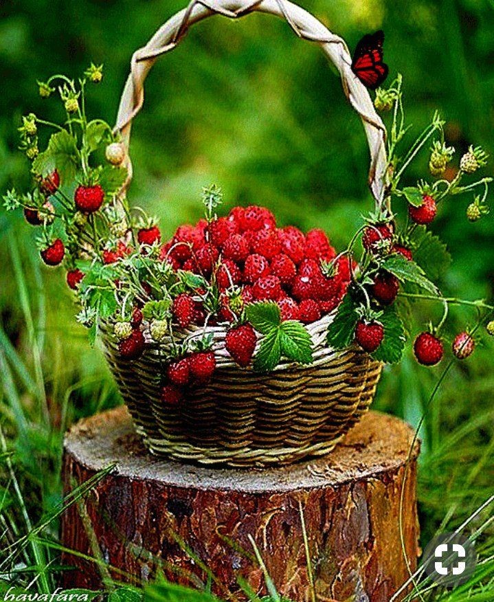 💦Nikita 🌼 tweet media