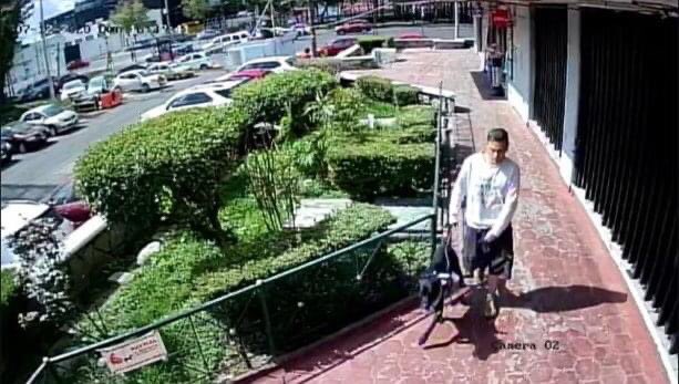TlatelolcoTV's tweet photo. Cómo estarán las cosas que ahora los perros sacan a orinar a sus dueños; este perrito consciente de las necesidades de su "humano" lo pasea en alrededores del Edif 10 en 1ra Secc. Tlatelolco para que haga sus necesidades. ¡Que tu perro te saque a orinar… no tiene precio…! #CDMX https://t.co/KMbS2uuX1w