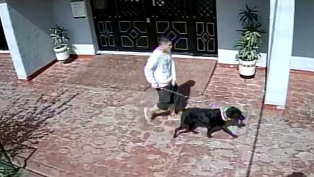 TlatelolcoTV's tweet photo. Cómo estarán las cosas que ahora los perros sacan a orinar a sus dueños; este perrito consciente de las necesidades de su "humano" lo pasea en alrededores del Edif 10 en 1ra Secc. Tlatelolco para que haga sus necesidades. ¡Que tu perro te saque a orinar… no tiene precio…! #CDMX https://t.co/KMbS2uuX1w