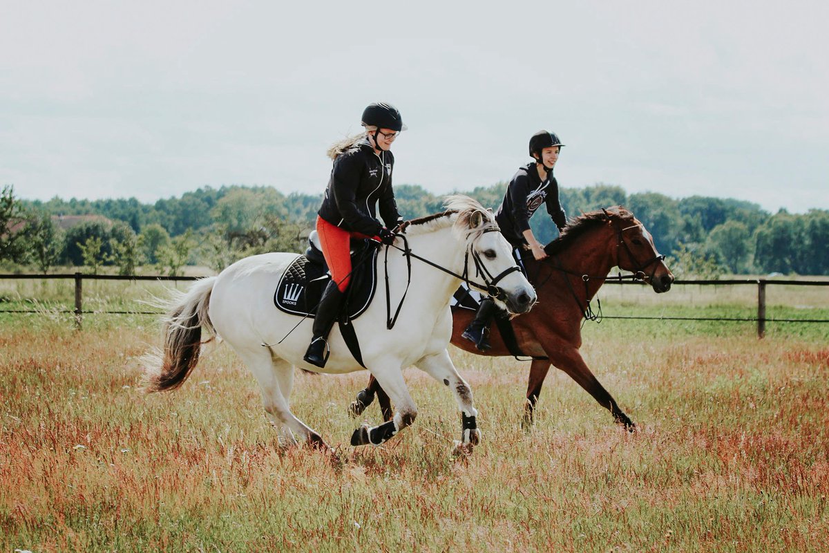 Riding is very much a team sport. That is why we try to make it easier to stay in touch with your team and stable members. Through chats when you need to manage your riding life and through the feed when you want inspiration or feedback 🏇🧡