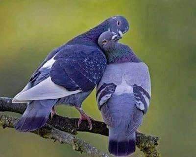 OmongoleL's tweet photo. Just imagining that person u always die for then one day boom... https://t.co/Qx1mDyQqn5