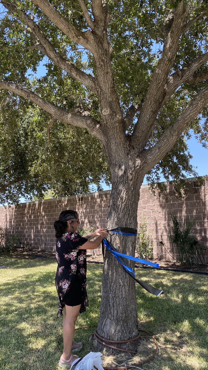 City of McAllen, TX tweet media