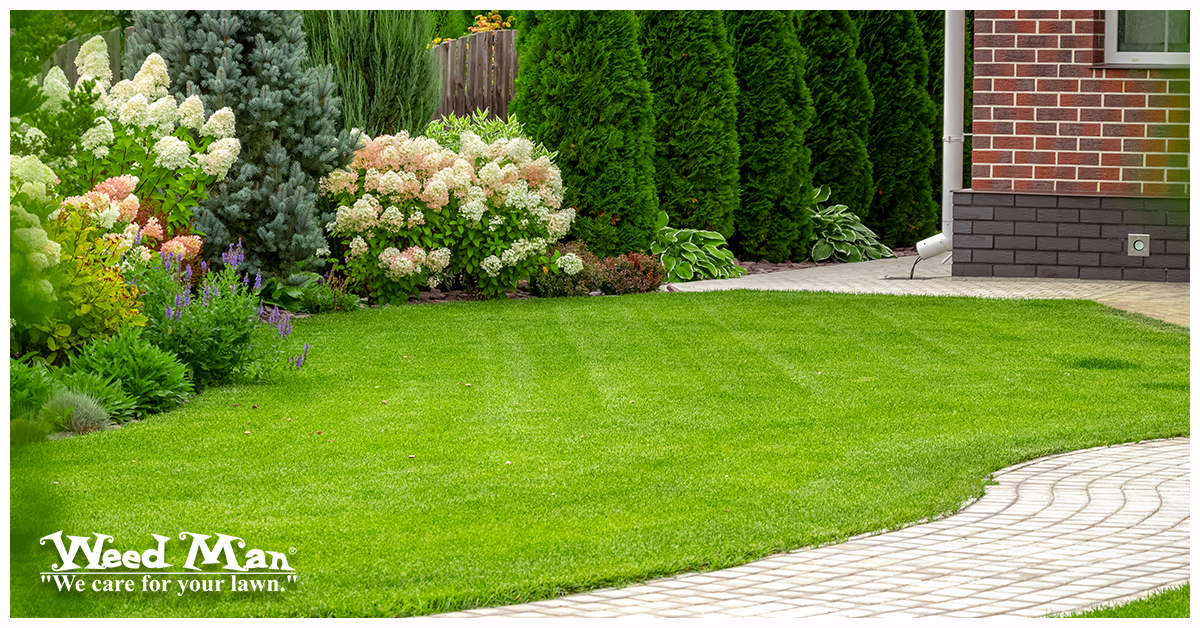 Green and abundant lawns serve as a great backdrop for summer activities. Keep your lawn looking great with these 7 Lawn Care Tips for a Greener, Thicker, Healthier Lawn: columbus-north.weedmanusa.com/blog/seven-tip…. #blog #lawncare #wecareforyourlawn