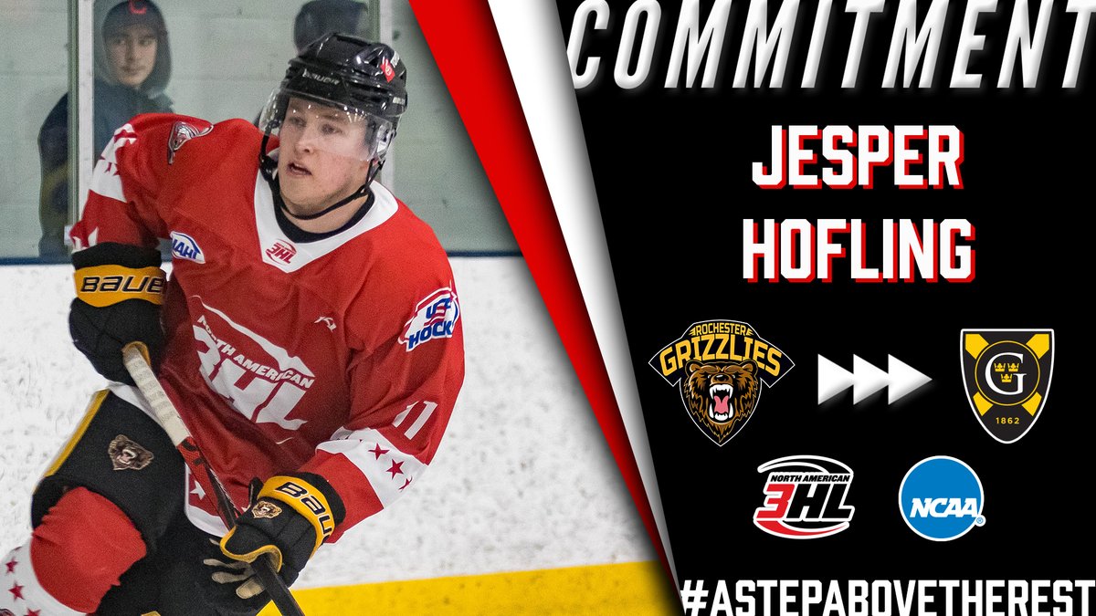 NA3HL's tweet photo. #NA3HL Commitment Alert: @RochesterGrizz and #TopProspects forward Jesper Hofling has committed to play NCAA Division III hockey for @GustieAthletics #StepAbovetheRest https://t.co/ZvOFMT5Jtm https://t.co/WTU0roZaEr