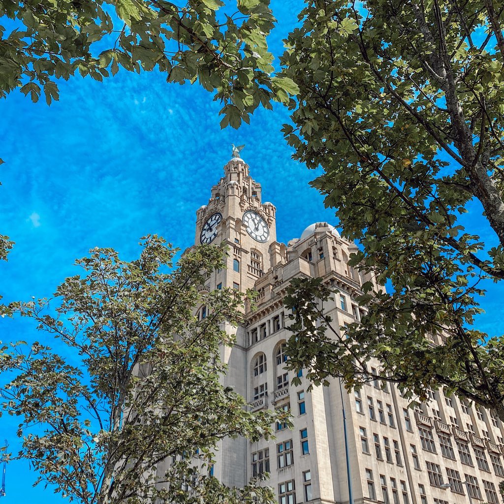 Soph 🤍 tweet media