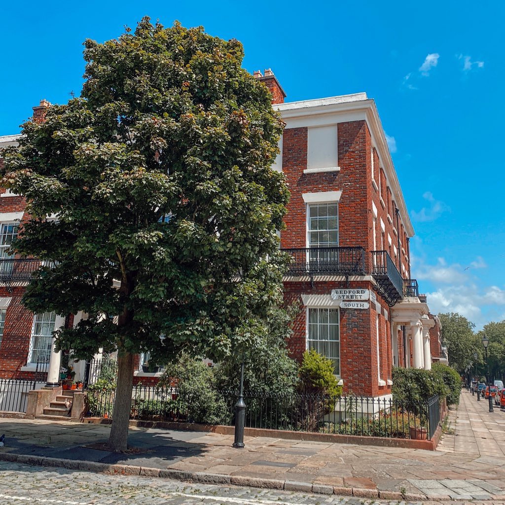 Soph 🤍 tweet media