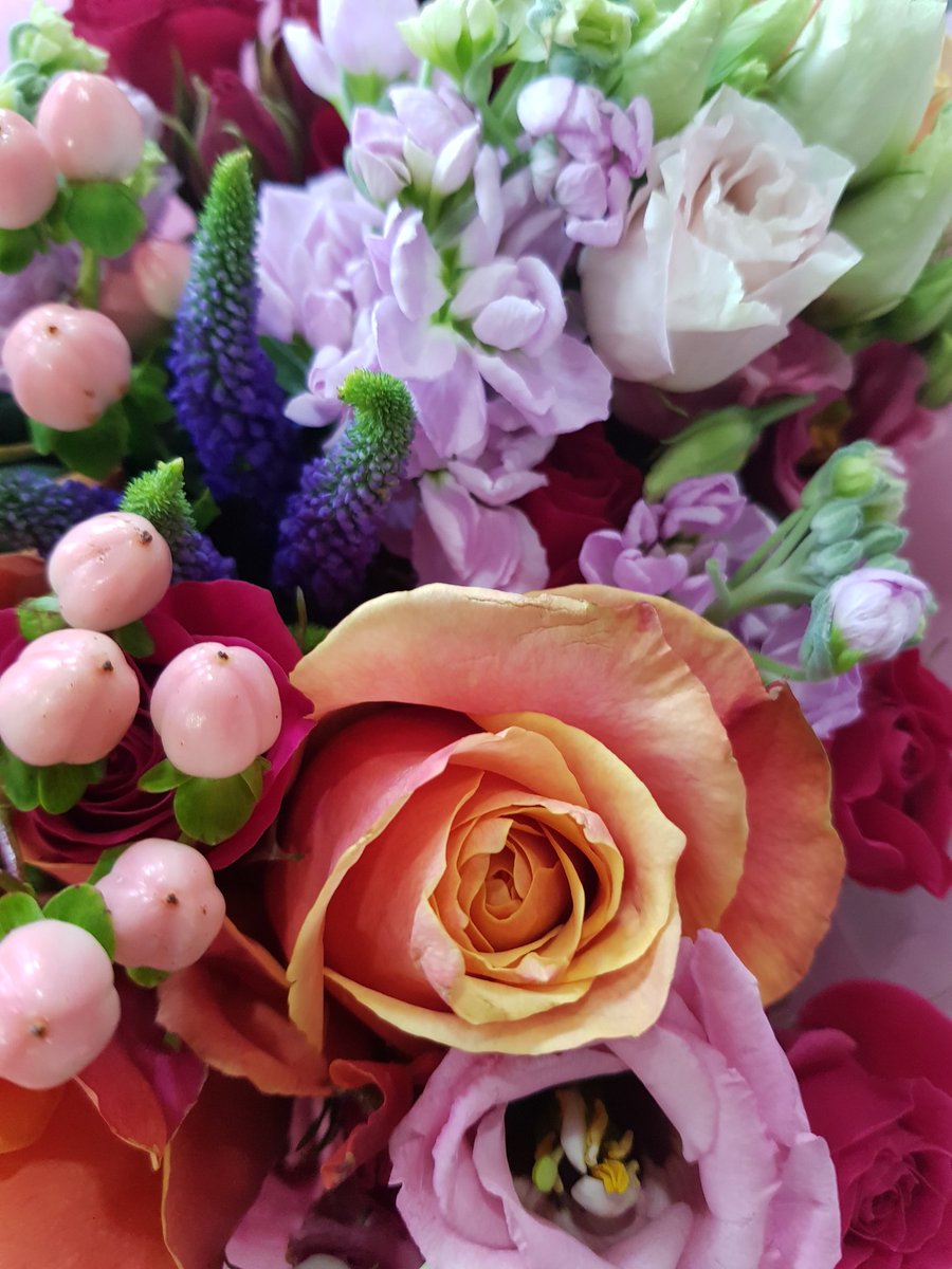 Ruthie Teal tweet media