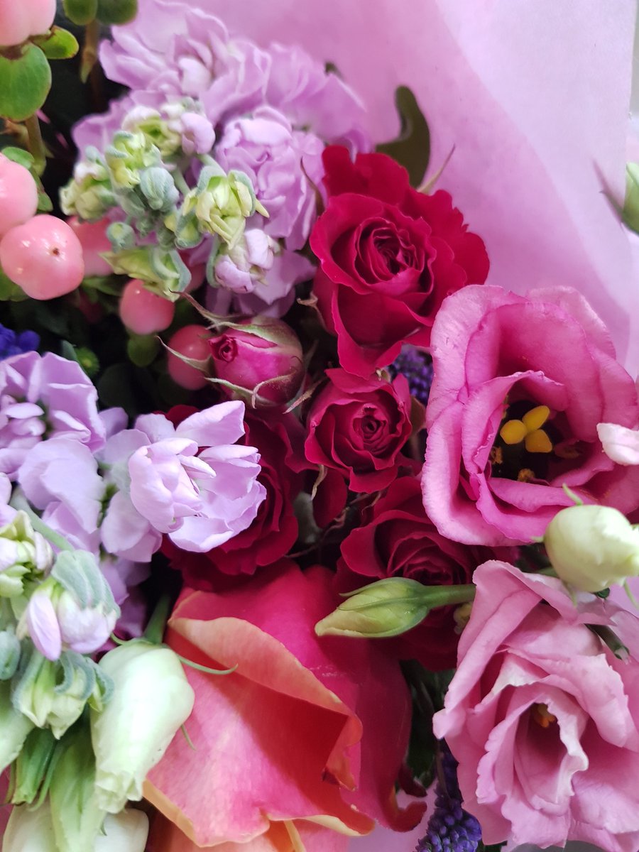 Ruthie Teal tweet media