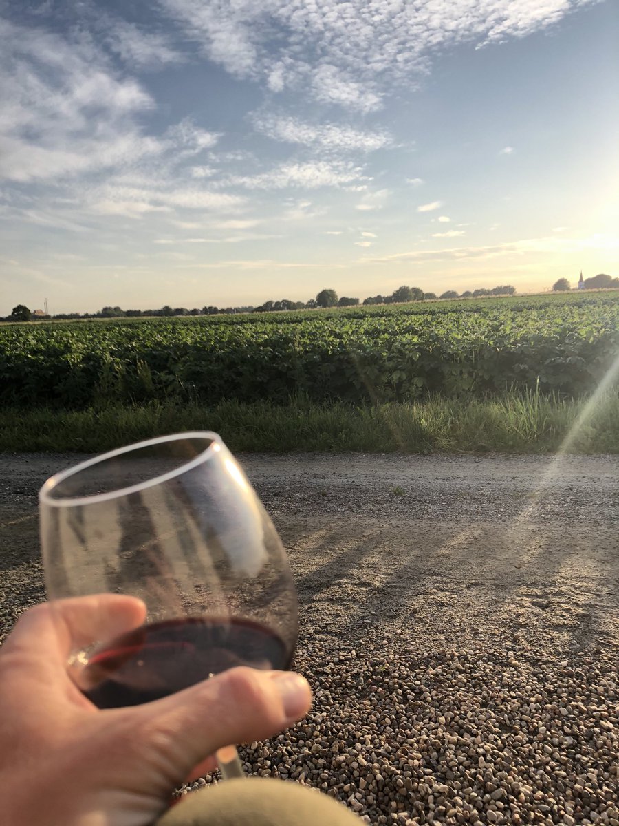 NiclasFischer's tweet photo. En sommarkväll på Österlen är fan svårslaget 👌#pappaledig https://t.co/0aYVbJNn7j