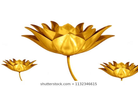 Every tuesday we perform 108 nāma puja to Srinivasa at our home by placing one flower for each nāma. My paternal grandfather wanted to place 108 golden flowers at Srinivasa's Feet at Tirumala temple during the morning archana. But he was able to procure only few golden flowers.