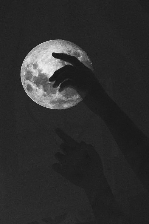 “𝘔𝘶𝘴𝘪𝘤 𝘸𝘢𝘴 𝘮𝘺 𝘳𝘦𝘧𝘶𝘨𝘦, 𝘐 𝘤𝘰𝘶𝘭𝘥 𝘤𝘳𝘢𝘸𝘭 𝘪𝘯𝘵𝘰 𝘵𝘩𝘦 𝘴𝘱𝘢𝘤𝘦 𝘣𝘦𝘵𝘸𝘦𝘦𝘯 𝘵𝘩𝘦 𝘯𝘰𝘵𝘦𝘴 𝘢𝘯𝘥 𝘤𝘶𝘳𝘭 𝘮𝘺 𝘣𝘢𝘤𝘬 𝘵𝘰 𝘭𝘰𝘯𝘦𝘭𝘪𝘯𝘦𝘴𝘴.”

ᴏʀɪɢɪɴᴀʟ ᴄʜᴀʀᴀᴄᴛᴇʀ.
ᴍᴜsɪᴄɪᴀɴ. ᴛʀᴀᴠᴇʟʟᴇʀ. sʜɪғᴛᴇʀ. 
♡+↺
[ɪɴғᴏ ʙᴇʟᴏᴡ]