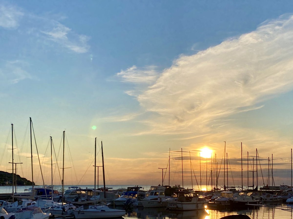 InnoRenewCoE's tweet photo. A virtual Slovenian sunset to end the first day of #SWST2020. 

@SocietyWood #swstic #innorenew https://t.co/CqUTPi8xzE