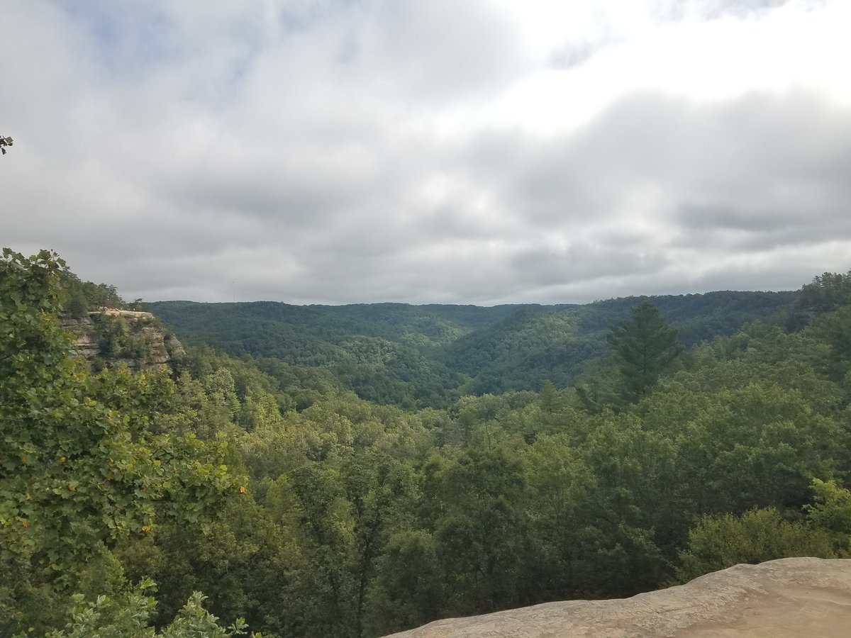 MattsCoffeeTalk's tweet photo. After a gorgeous 3.5mi hike with the family the parents need to recharge with this delicious #Sumatra #coldbrew that I had just finished bottling yesterday. 

#Coffee #nature #Kentucky https://t.co/6RDyekVlg0