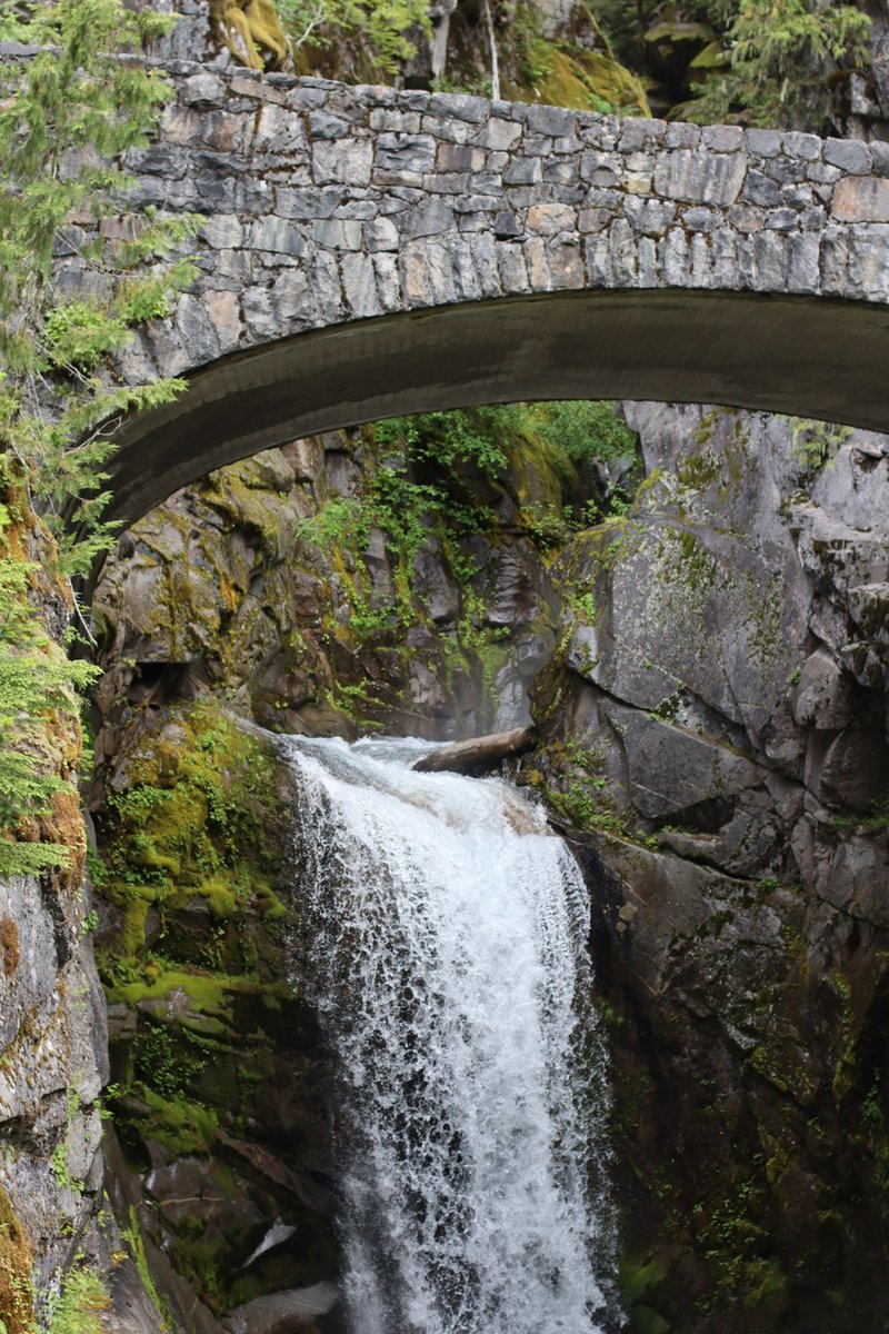 crepusculecat's tweet image. lately I&apos;ve been getting into photography.....recently went for some hikes around rainier. normally dont share stuff like this because I&apos;m a beginner but uh...I like these !