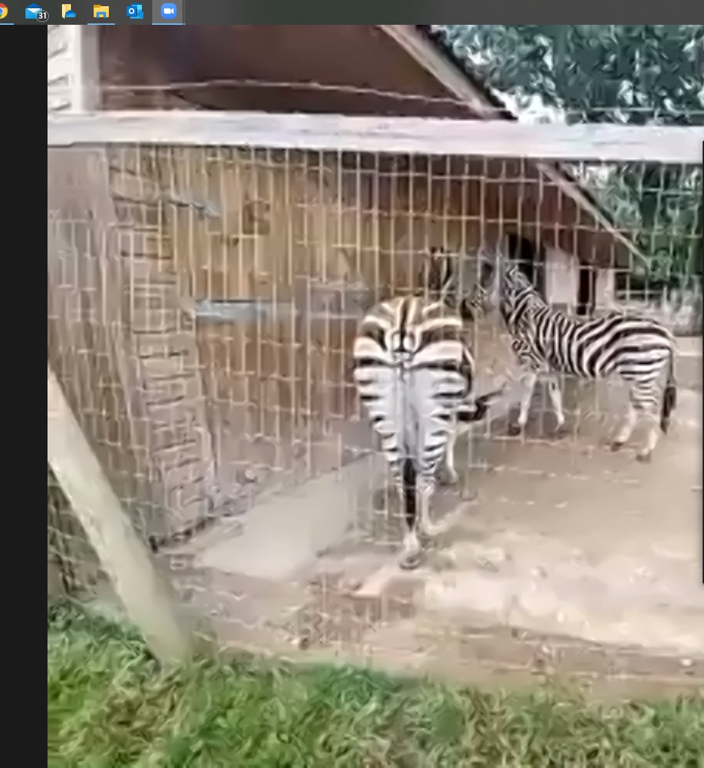 1st Kingham Brownies tweet media