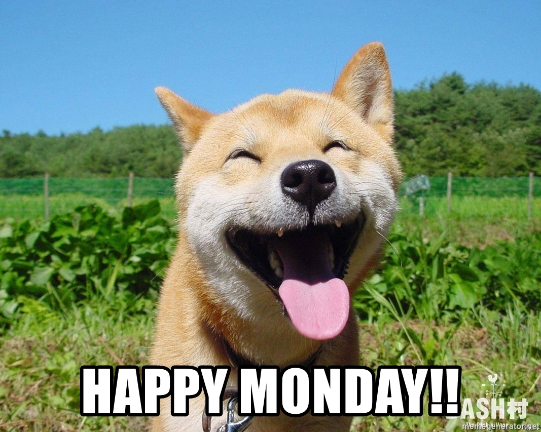 Sarnia Top Gear (@sarniatopgear) on Twitter photo 