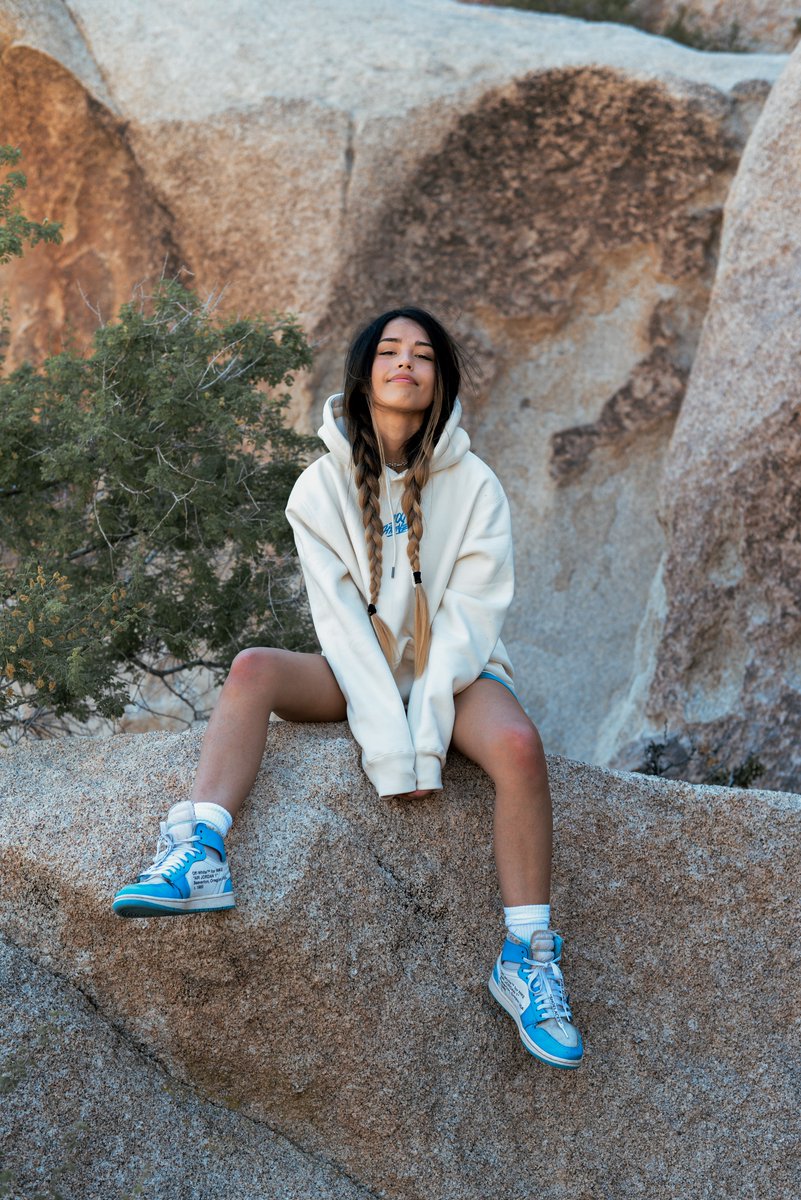 100 Thieves tweet media