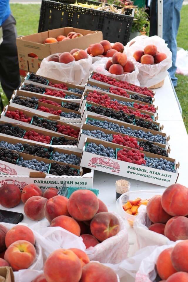 wsemt's tweet photo. Help us reach our #GiveAHoot goal of $20,000! Donate $5, $10, $15 or more to preserve Montana's spectacular landscapes for generations to come. Your support strengthens our community through programs like the Livingston Farmer's Market. https://t.co/rmWBXfps0p #giveahoot49 #wsemt https://t.co/0lOqs6fcK1