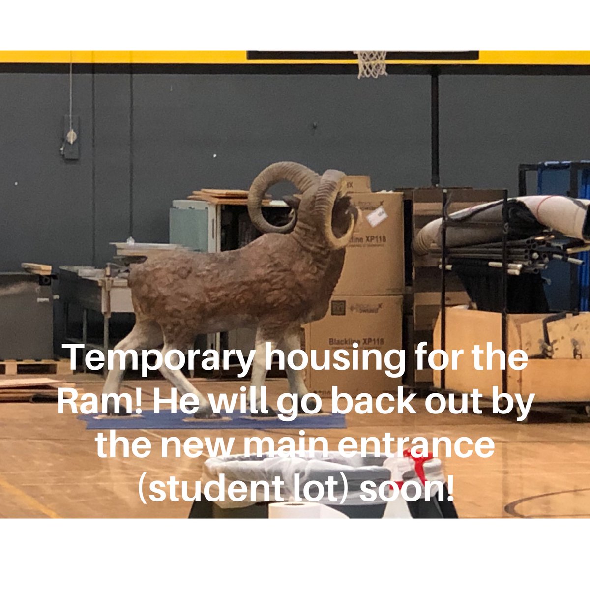 It’s construction update time! Lots is happening around GMHS while we are away-almost all classrooms have been painted &amp; gotten new carpet; lots of change in the D hall &amp; even the Ram is able to get out of the heat for awhile! We can’t wait for #RamNation to see everything done!