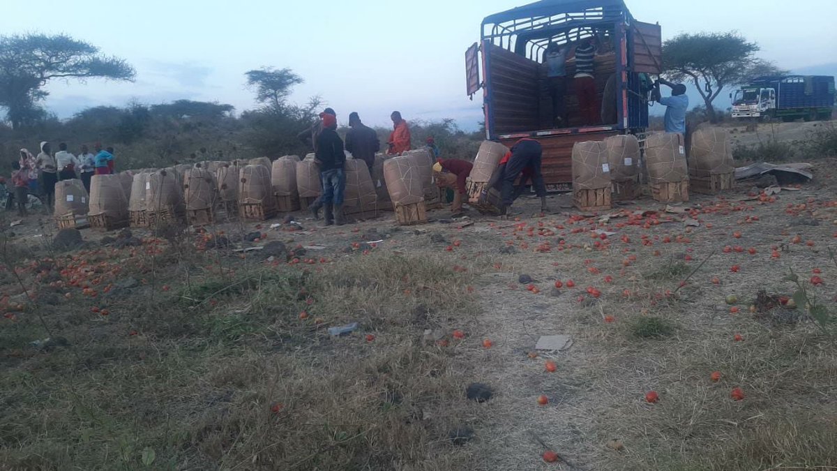 amin_maslah's tweet photo. 4month of struggle,and this is how it ends
#farming is good but Packaging policies should be implemented. Our agric policy makers have a job to do.
We can’t continue like this selling this boxes just 1500 and the middlemen enjoy our fruits.....Kenya. https://t.co/PryLeIg1nl