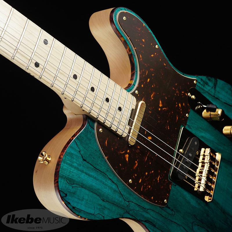 SCHECTER PS-PT-SP/OGR/M シェクター エレキギター