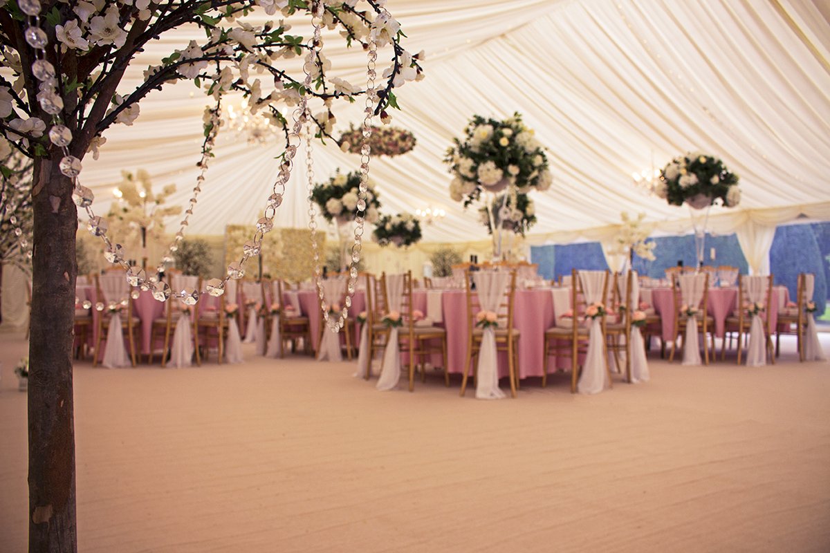 Lensation tweet media