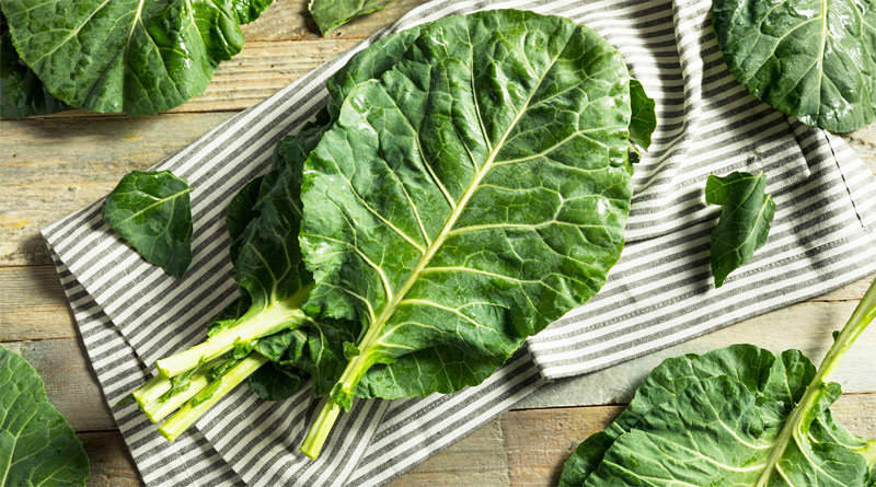 SVGastronomia's tweet photo. Alimentação saudável: confira os vegetais que estão na época em julho: https://t.co/AuGPD468Vf - #abóbora #alimentação #batatadoce #cará #codeagro #comidasaudável #couve #couveflor #gastronomia #inhame #mandioca #mandioquinha #notícias #nutrição #sãopaulo #vegetais https://t.co/hKYbIIlJSC