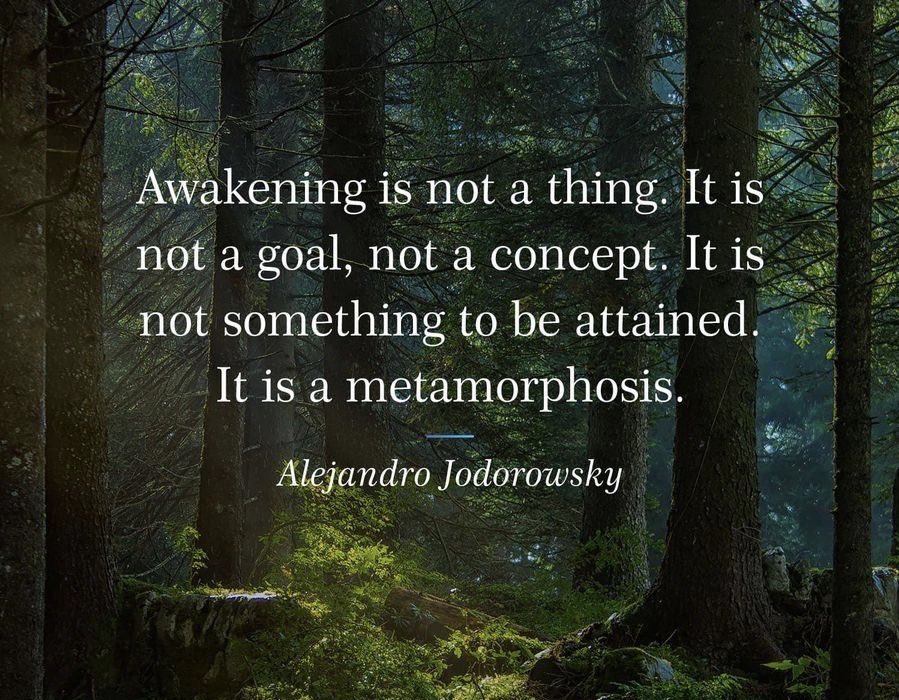 Be bold and bloom is “you” being your SuperSelf. Always learning, changing and growing to be the best you, everyday in every way...  #inspire #motivation #bestyou #bestlife #empowerment #meditation #success