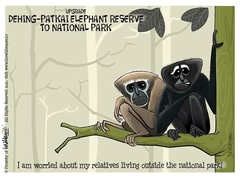 callmedc97's tweet photo. The draft ESZ notification will need careful scrutiny by all stakeholders before it is finalised. The conservation of the ER should be the guiding principle for upgrading the Dehing Patkai WS to a National Park. #ProtectMeToo #IamDehingPatka .@sarbanandsonwal @ParimalSuklaba1 https://t.co/TLT912Rpqu