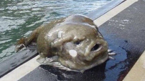 Baldy_Styles's tweet image. b e n