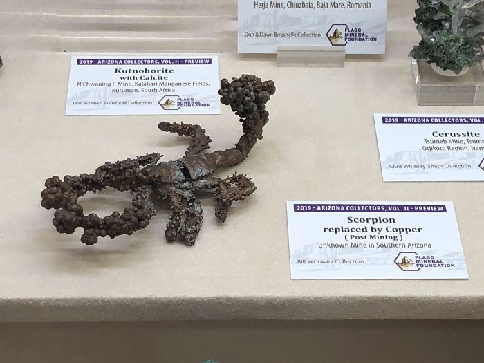 KnowExisted's tweet photo. A Scorpion Turned Entirely Into Copper (Found In A Mine In Southern Arizona, Us)

(✎ by redditor finemenyak)

See more wonders of the #cosmos at https://t.co/I3e7ywffIp https://t.co/XjfFC0cKfF