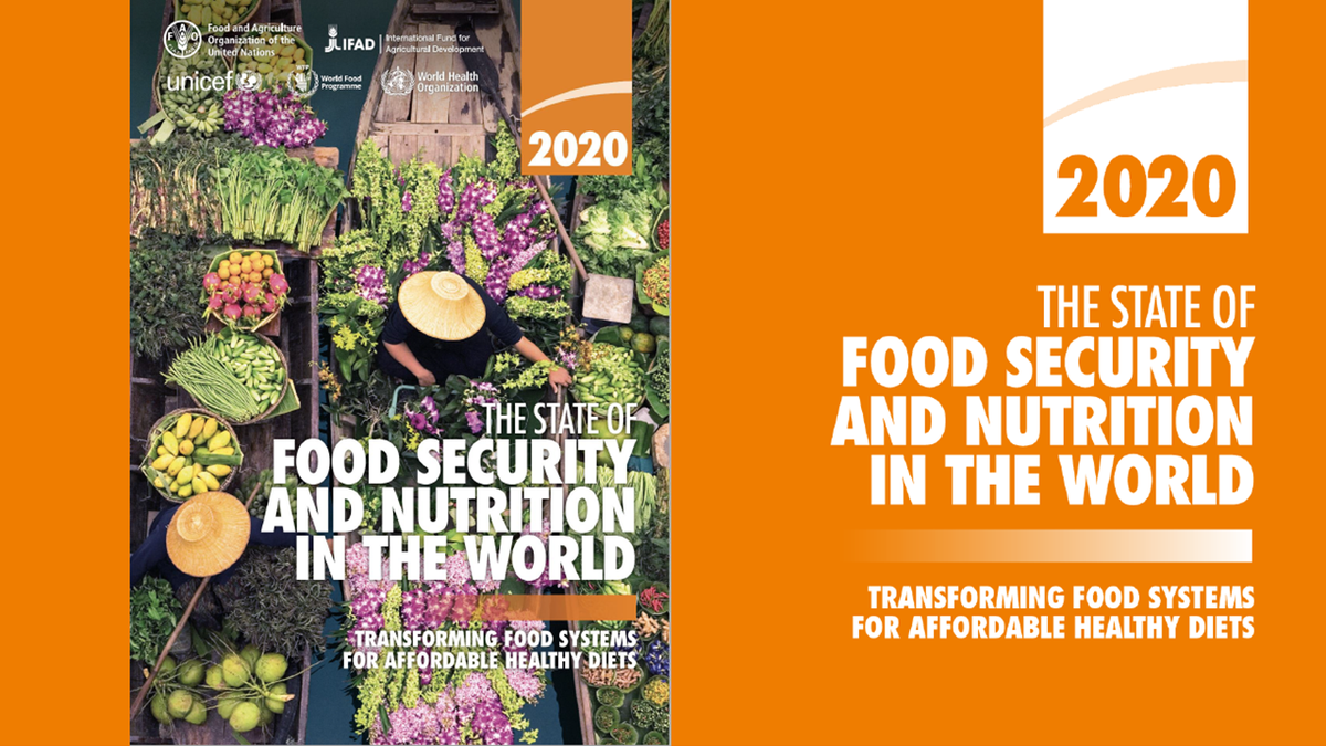 State of Food Security and Nutrition in the World report TriumphIAS