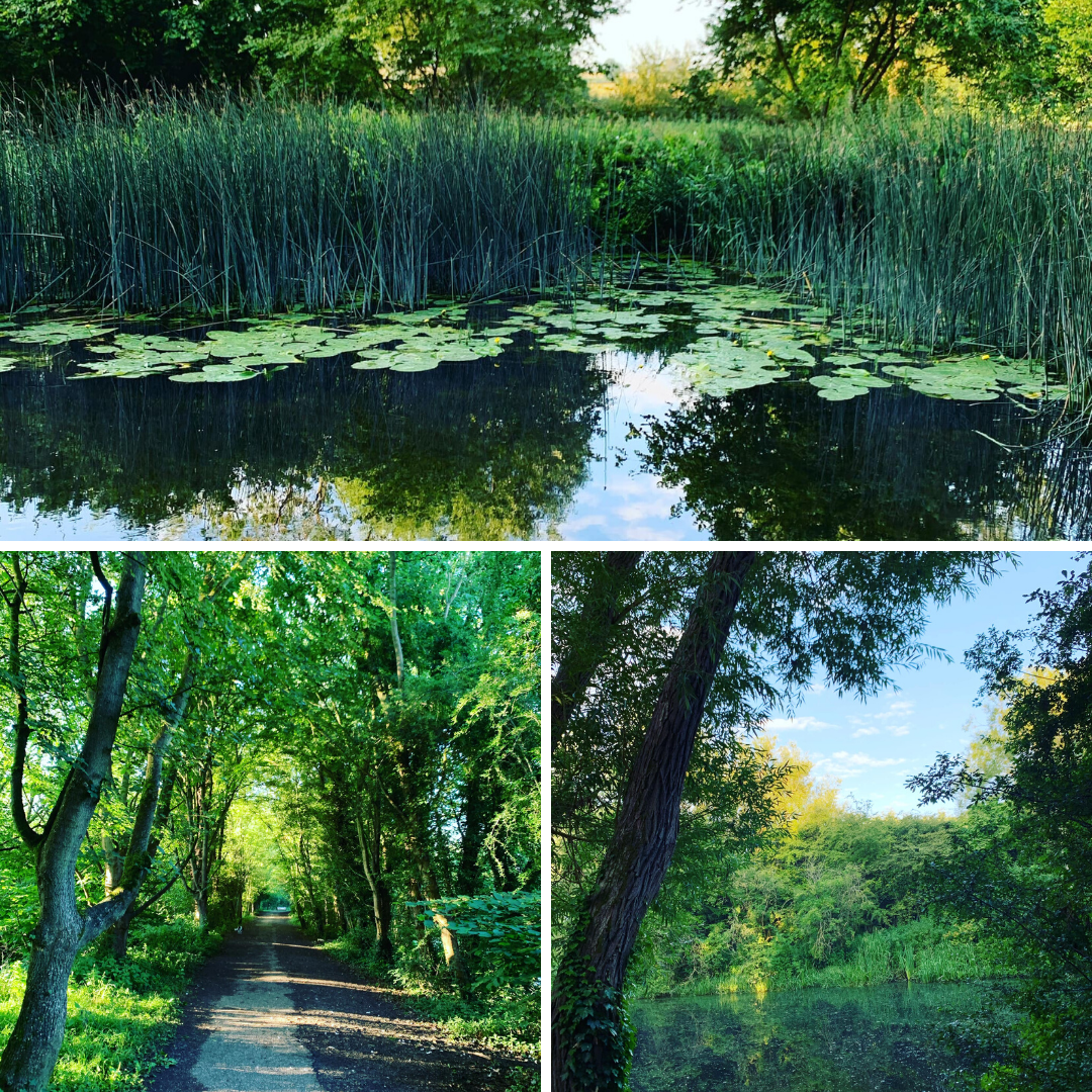 Visit Clare, Suffolk (@visit_clare) on Twitter photo There are so many reasons to visit Clare, not least the many wonderful walks in and around the town.
This point was perfectly captured by Tracy Hickford during an early morning stroll. Thank you for sharing your great pics Tracy!
@clare_country <a href="/ClareWalks/">Clare Walks</a> <a href="/BuryStEdBeyond/">BuryStEdmunds&Beyond 👑 🐺</a> There are so many reasons to visit Clare, not least the many wonderful walks in and around the town.
This point was perfectly captured by Tracy Hickford during an early morning stroll. Thank you for sharing your great pics Tracy!
@clare_country <a href="/ClareWalks/">Clare Walks</a> <a href="/BuryStEdBeyond/">BuryStEdmunds&Beyond 👑 🐺</a>