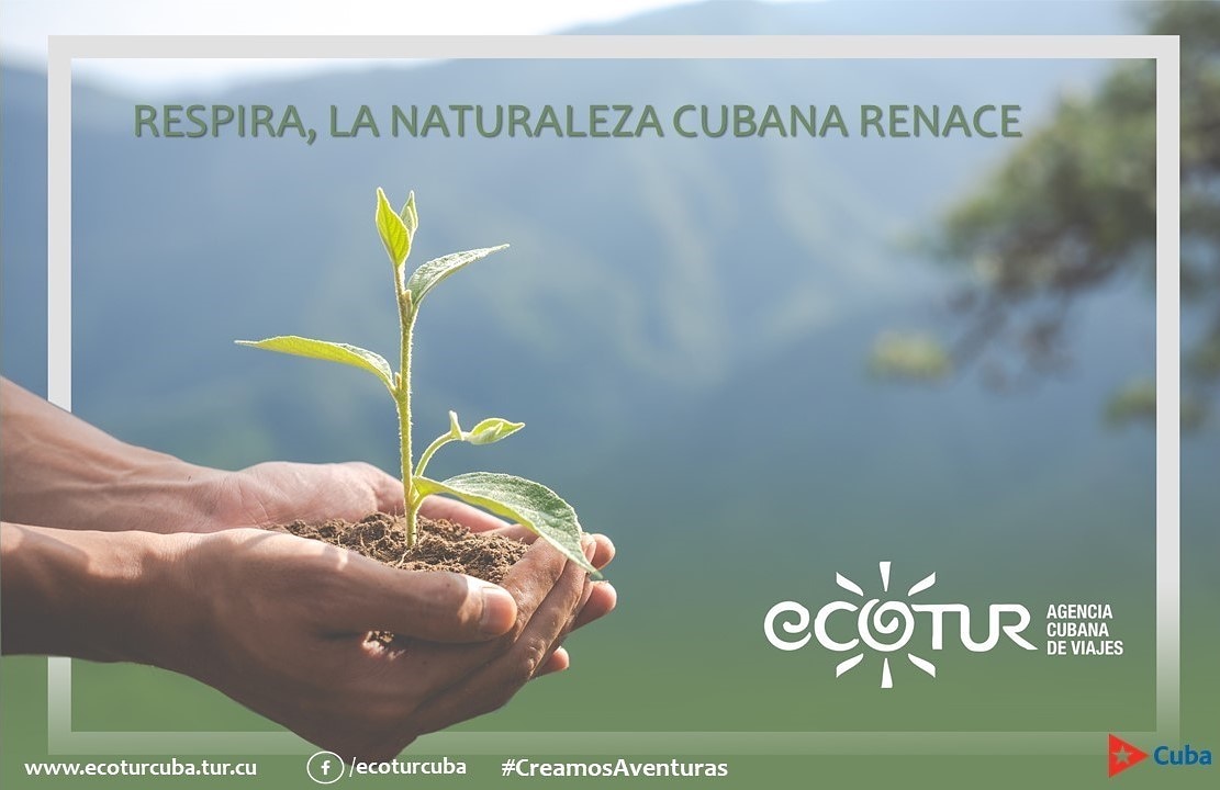 ecoturcuba's tweet photo. Estamos ofreciendo ventas de alojamiento, campismos y excursiones. Además gestionamos la IV Cumbre de #TurismoAccesible del 2 al 7 de diciembre del 2020, el #FotoAlVuelo de febrero de 2021 y el #TURNAT 2021.
#turismoinforma
#turismosostenible
#turismoinclusivo https://t.co/ecFpGf8MZd