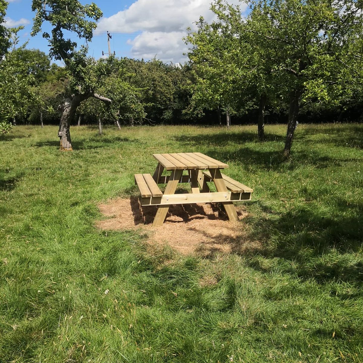 DevonDazeBlog's tweet image. Such a lovely time cycling to the #cider event with @courtneyscider on Saturday! Beautiful grounds, relaxed feel, tasty cider and juice and delicious ice cream! Thank you! #devon #rockbeare #whimple #appleorchards #cider #orchards #courtneyscider #familyfun