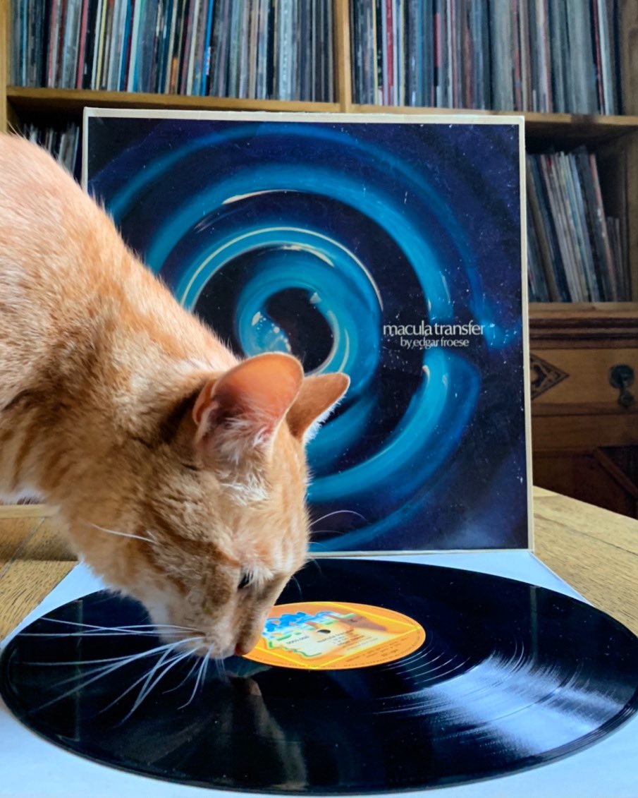 Vinylhoarder's tweet photo. “There is no death, there is just a change of our cosmic address.” Edgar Froese #nowplaying Macula Transfer #vinyl 1976 ..Magnus the cat approves. #music https://t.co/6m7n8PRRps