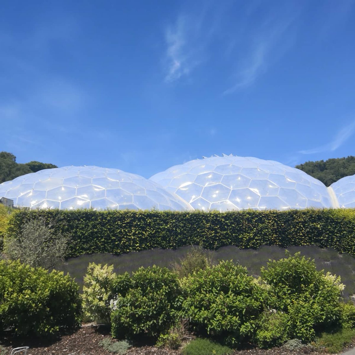 DevonDazeBlog's tweet image. Loved our day out @edenproject yesterday. Really well organised, lots to see and the limited numbers made for a very relaxing outing! #localspass #edenproject #daysout #staycation #cornwalldaysout #cornwall