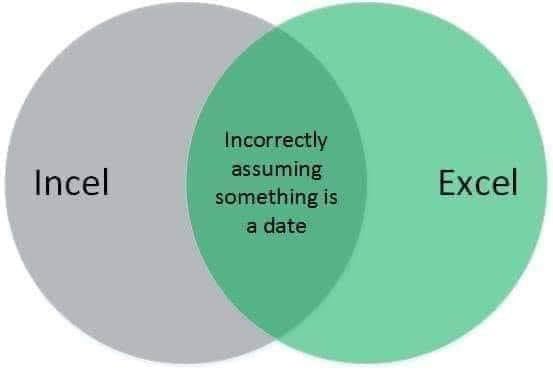 A Quacking Student 🌍 (@oustemduck) on Twitter photo 