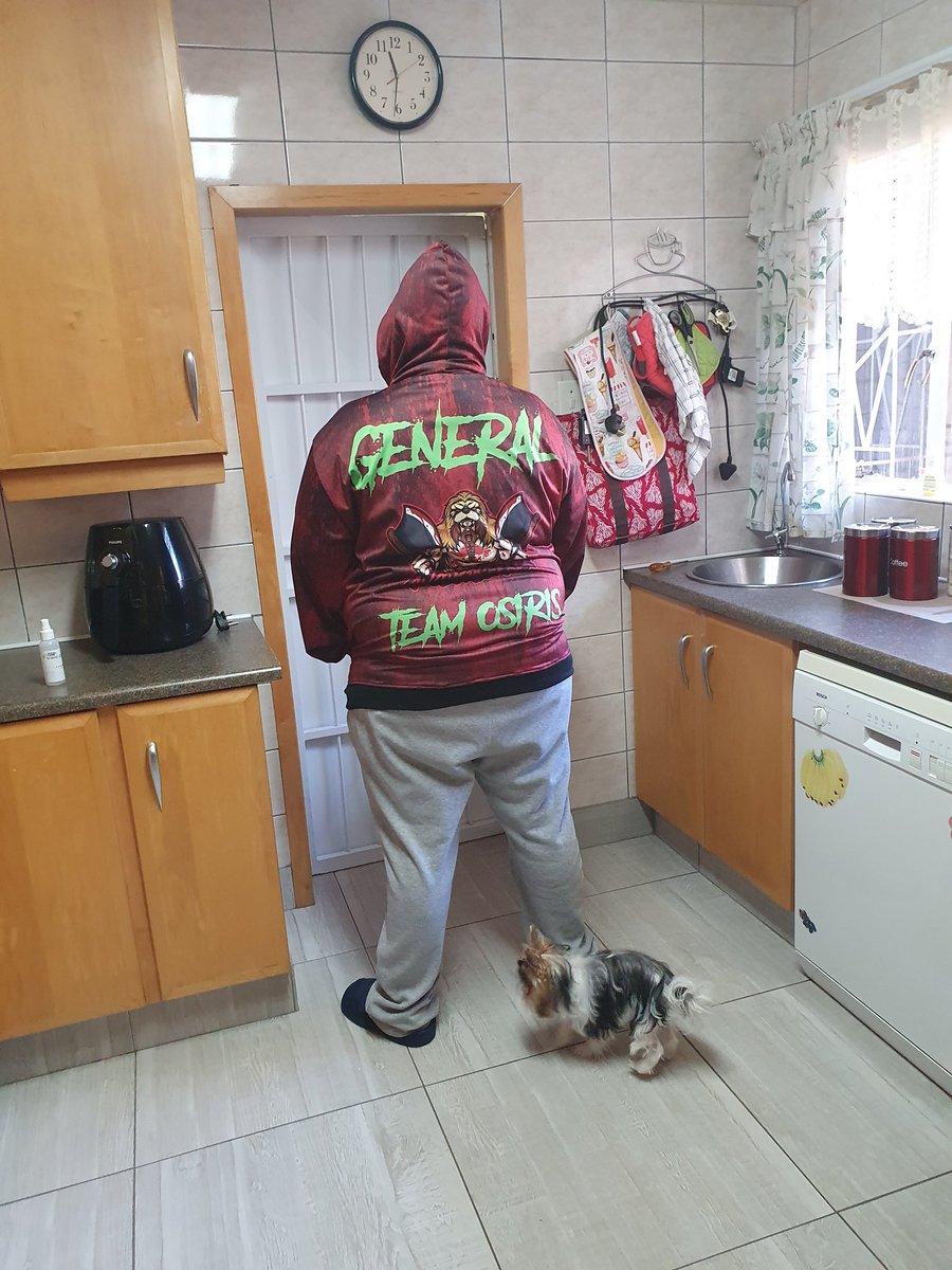 GamingHeidrun's tweet photo. The Official TNT Esports Hoodies

#thenotoriousthugs #gaminglife #gamingapprel https://t.co/xtN2BJRByg