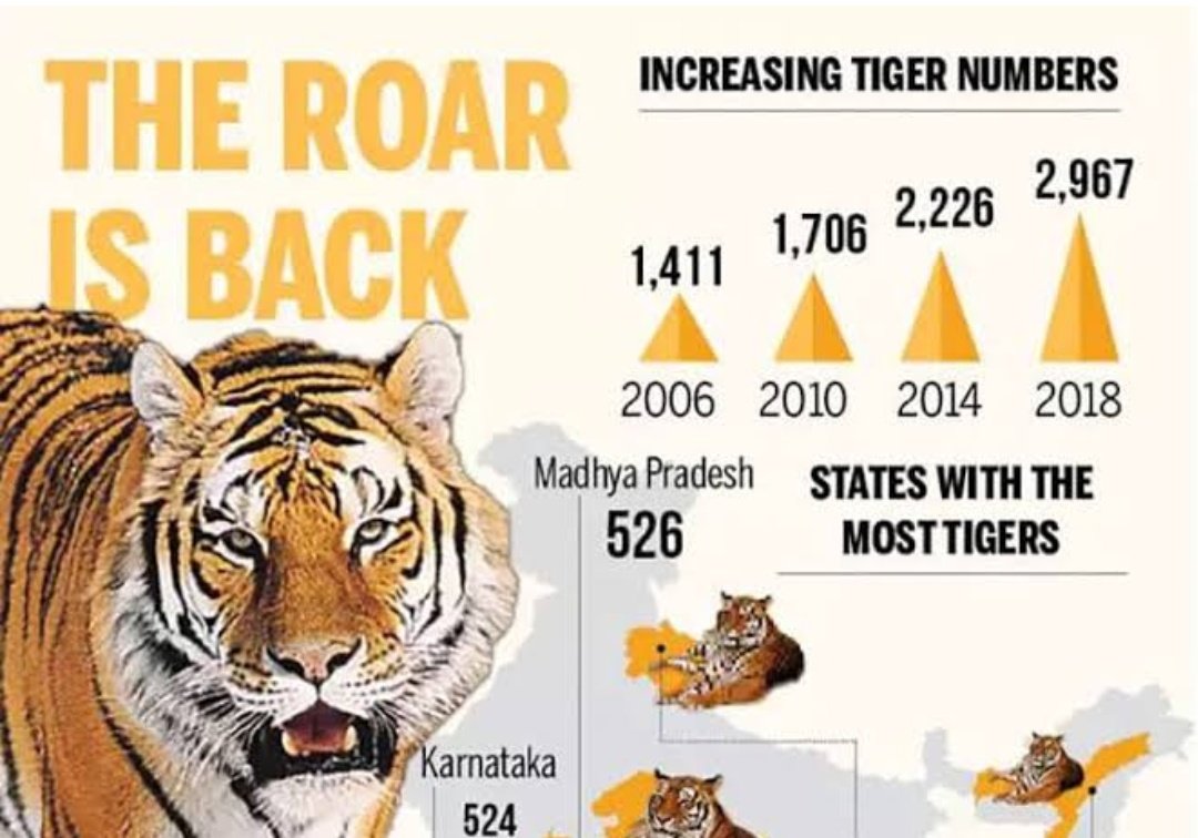 Karthik_Pantham's tweet photo. @narendramodi govt delivers on its promise to double the number of tigers, Nearly 75% of tigers globally are in India, numbering 2967. India sets a #GuinnessWorldRecord to be world's largest camera trap wildlife survey.
#TheRoarIsBack
@BJP4India @BJP4Telangana @BJPITCellTS https://t.co/0S4oP8bbPB