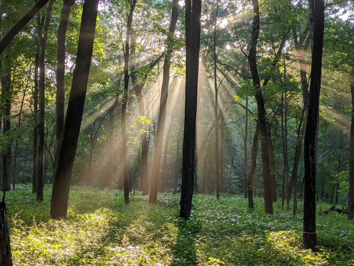 Early morning at Big Grove Preserve! #conservation #GetOutside