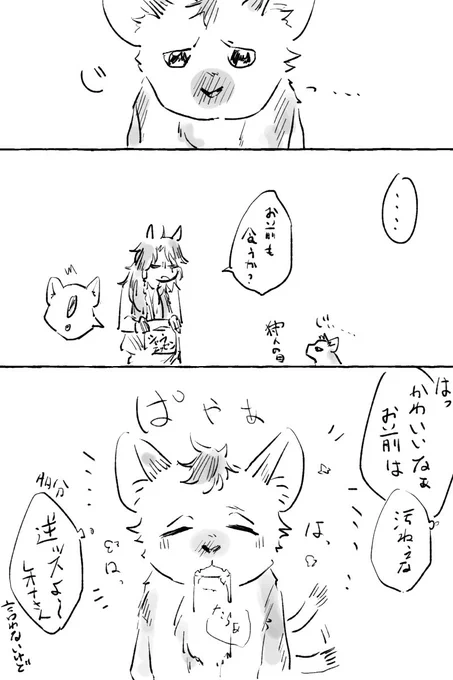 豆ちゃんとお肉と世界平和(めちゃ雑) 